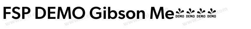 FSP DEMO Gibson Me字体转换 FSP DEMO Gibson Me字体转换